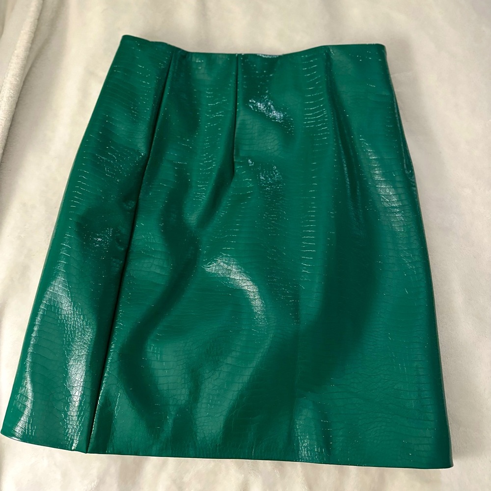 Faux snake skin green pencil skirt from Anthropologie!